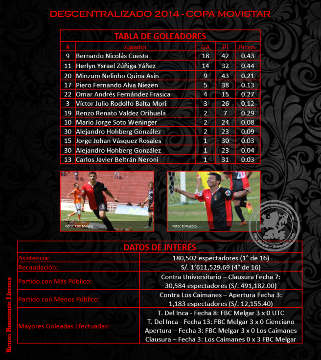 Resumen 2014 - Tabla de Goleadores